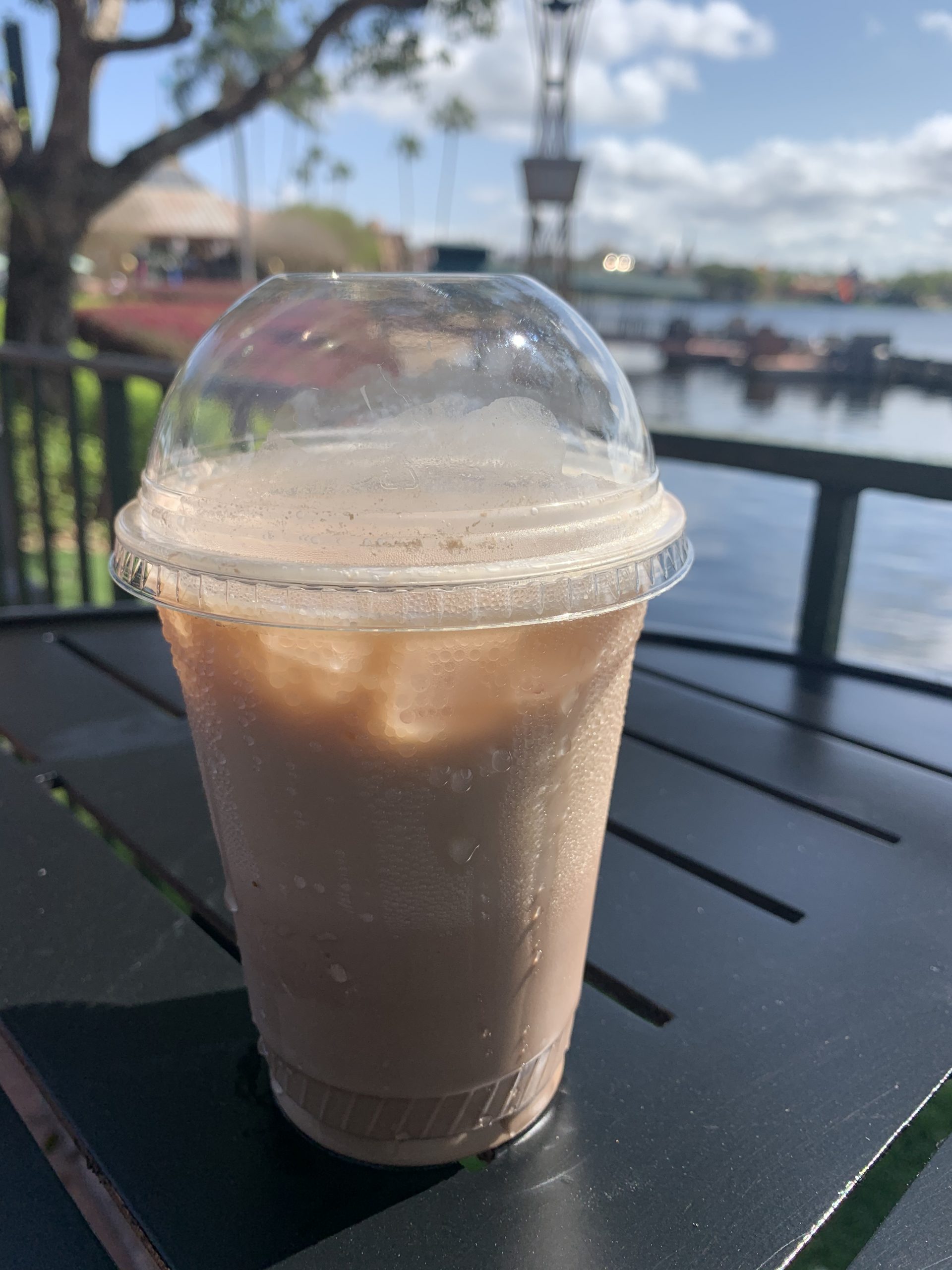 Epcot Drinks